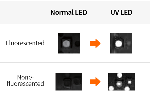 UV LED Fid. Camera
